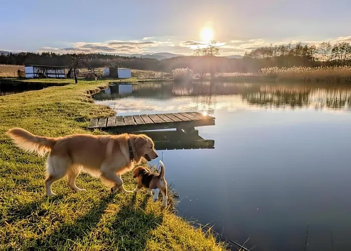 Nad Stawami Blotnica (Kolobrzeg)